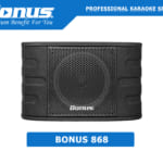 Loa karaoke chuyên nghiệp Bonus 868