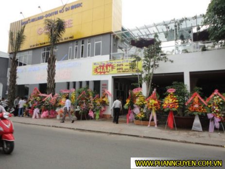 Công trình thi công âm thanh ánh sáng cafe dj music Golden Bee