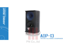 Loa Audience Delight Model: ADP-13