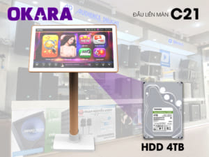 Đầu liền màn Okara C21 HDD 3TB